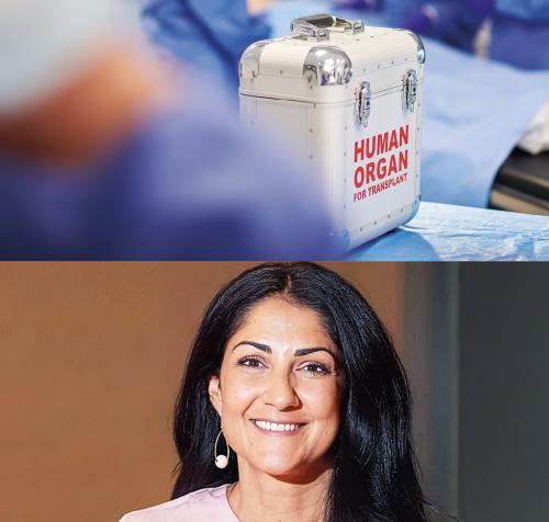 Organe spenden